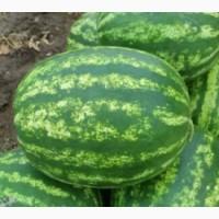 Пр0двм Ар6у3 с п0ля, с0рт Т0п Гвн, Арвшвн, 8ес 0т 4 кг д0 12 кг, 0сн08нвя мвссв 7-8кг