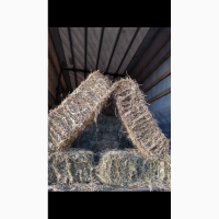 Продам сено, разнотравье хорошего качества