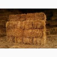 Солома в тюках