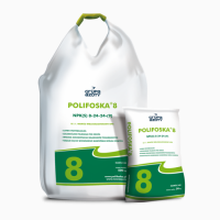 Polifoska 8 NPK(S) 8-24-24-(9). Поліфоска 8
