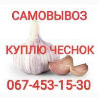 Куплю чеснок дорого круглый год также зубок