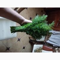 Продам кріп на переробку