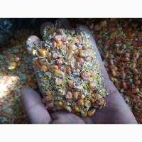 Продам кукурудзу 20тн