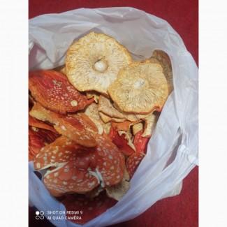 Продам Сушені мухомори