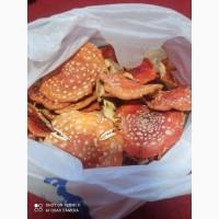 Продам Сушені мухомори