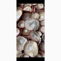Продам Сушені мухомори