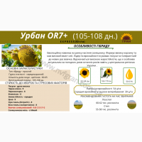 Соняшник під гранстар гібрид - УРБАН OR7(110дн)