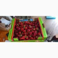 Продам полуницю