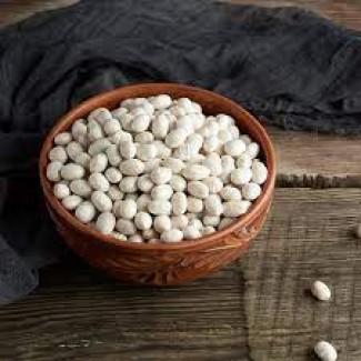 Закуповуємо білу квасолю на переробку (тільки опт)