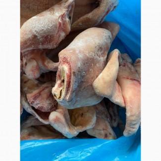 Продам субпродукти курячі, свинні, яловичі, індичі