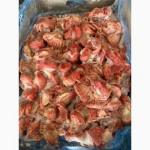 Продам субпродукти курячі, свинні, яловичі, індичі