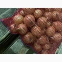 Продам цибулю вищий сорт