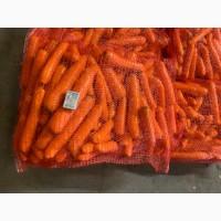 Продам цибулю вищий сорт