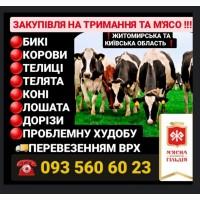 Закупівля врх Житомирська Київська область