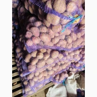 Домашня гарна картопля