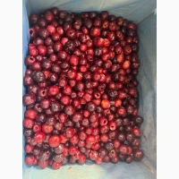 Продам вишню б/к. Свіжоморожена