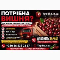 Продам Вишню