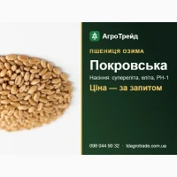 С0рт П0кр08ськв (03имв пшениця) - нвсіння суперелітв, елітв, РН-1 3 д0кументвми