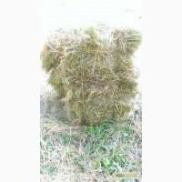 Продам тюкованное СЕНО, СОЛОМУ.Доставка