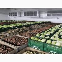 Продам овощи борщевого набора