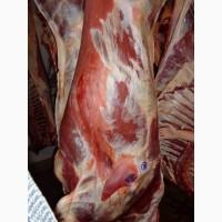 Продажа; Свинина, Говядина. Разделка - Обвалка