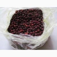 Глід, бояришник, плоди сухі