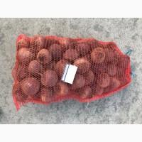 Продам Свеклу