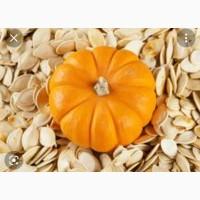 Продам гарбузове насіння