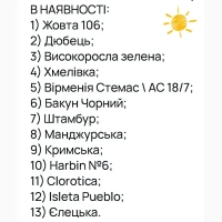 НАСІННЯ махорки / МАХОРКА насіння (100 грам)