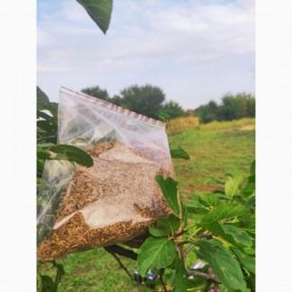 Абак ферментированный миксы Кемел, Давидов и много других