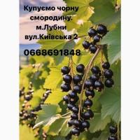 Смородина куплю