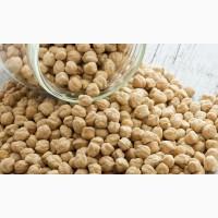 Маємо в продажі НУТ сорт Заховіт