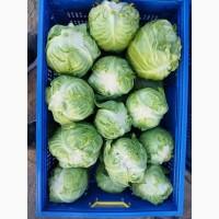 Продам молоду капусту