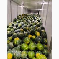 Румунські дині на продаж