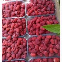 Мапема/маравіла