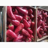 Продам перець