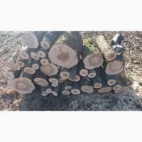 Дрова яблуні дрова для опалення та мангала