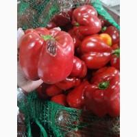 Перец красный куб