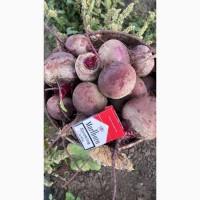 Продам Буряк/свеклу