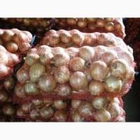 Бюджетний лук для переробки та технічних цілей • Надійні поставки від 10 тонн