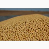 Продам сою ГМО