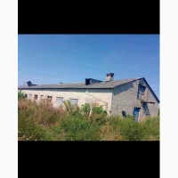 Продам свинарники