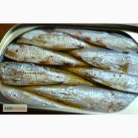 Консервированные сардины из Туниса
