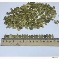 Продам ядро семечек тыквы