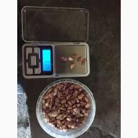 Продам чеснок, семена