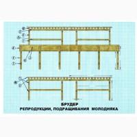 Улиточная ферма разведения виноградной улитки. Технология, оборудование