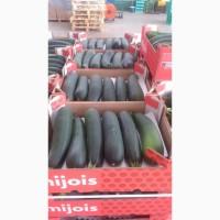 Кабачки и овощи из Испании