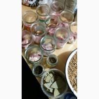 Каша перловая с мясом