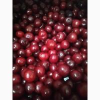 Продам замороженную вишню с косточкой