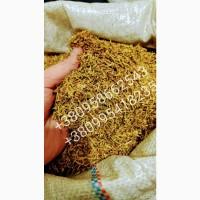 Продам ТАБАК : АКЦІЯ!Вирджиния Голд, Берли, Кемел, Бонд, Винстон. Ароматизаторы для табака